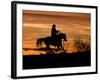 Cowboy on Horses on Hideout Ranch, Shell, Wyoming, USA-Joe Restuccia III-Framed Photographic Print