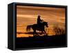 Cowboy on Horses on Hideout Ranch, Shell, Wyoming, USA-Joe Restuccia III-Framed Stretched Canvas