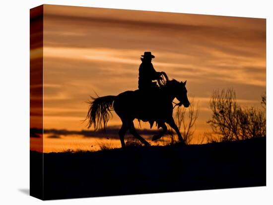 Cowboy on Horses on Hideout Ranch, Shell, Wyoming, USA-Joe Restuccia III-Stretched Canvas