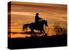 Cowboy on Horses on Hideout Ranch, Shell, Wyoming, USA-Joe Restuccia III-Stretched Canvas