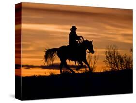 Cowboy on Horses on Hideout Ranch, Shell, Wyoming, USA-Joe Restuccia III-Stretched Canvas