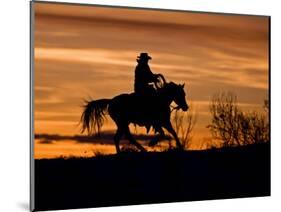 Cowboy on Horses on Hideout Ranch, Shell, Wyoming, USA-Joe Restuccia III-Mounted Photographic Print
