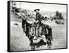 Cowboy Riding a Horse in Montana, USA, c. 1880-null-Framed Stretched Canvas