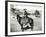 Cowboy Riding a Horse in Montana, USA, c. 1880-null-Framed Giclee Print