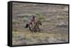 Cowboy Riding at Full Speed in Motion-Terry Eggers-Framed Stretched Canvas