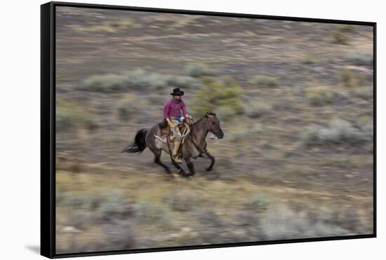 Cowboy Riding at Full Speed in Motion-Terry Eggers-Framed Stretched Canvas