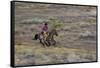 Cowboy Riding at Full Speed in Motion-Terry Eggers-Framed Stretched Canvas