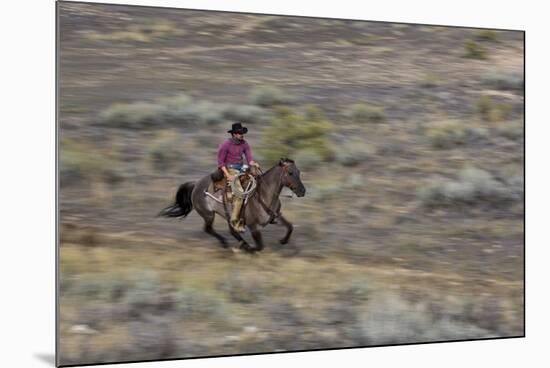 Cowboy Riding at Full Speed in Motion-Terry Eggers-Mounted Photographic Print