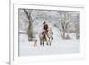 Cowboy riding his horse in winter, Hideout Ranch, Shell, Wyoming.-Darrell Gulin-Framed Photographic Print