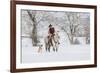 Cowboy riding his horse in winter, Hideout Ranch, Shell, Wyoming.-Darrell Gulin-Framed Photographic Print