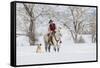 Cowboy riding his horse in winter, Hideout Ranch, Shell, Wyoming.-Darrell Gulin-Framed Stretched Canvas