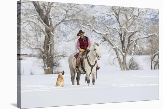 Cowboy riding his horse in winter, Hideout Ranch, Shell, Wyoming.-Darrell Gulin-Stretched Canvas