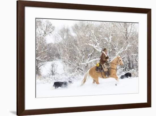 Cowboy riding his horse in winter, Hideout Ranch, Shell, Wyoming.-Darrell Gulin-Framed Photographic Print