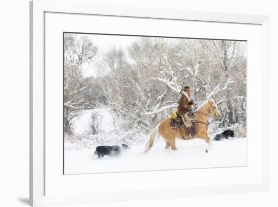 Cowboy riding his horse in winter, Hideout Ranch, Shell, Wyoming.-Darrell Gulin-Framed Photographic Print