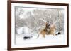 Cowboy riding his horse in winter, Hideout Ranch, Shell, Wyoming.-Darrell Gulin-Framed Photographic Print