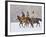 Cowboy Riding Horse, Shell, Wyoming, USA-Terry Eggers-Framed Photographic Print