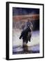 Cowboy Riding Horse Through River-Darrell Gulin-Framed Photographic Print