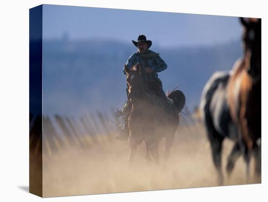 Cowboy Riding Horseback, Oregon, USA-William Sutton-Stretched Canvas