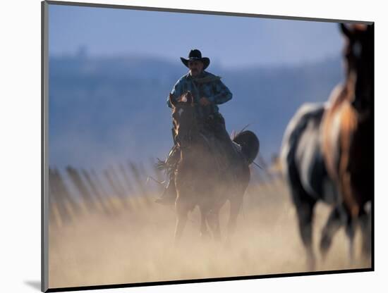 Cowboy Riding Horseback, Oregon, USA-William Sutton-Mounted Photographic Print