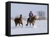 Cowboy Riding Red Dun Quarter Horse Gelding Through Snow, Bethoud, Colorado, USA-Carol Walker-Framed Stretched Canvas