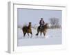 Cowboy Riding Red Dun Quarter Horse Gelding Through Snow, Bethoud, Colorado, USA-Carol Walker-Framed Photographic Print