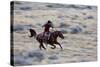 Cowboy Riding the Range-Terry Eggers-Stretched Canvas