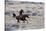 Cowboy Riding the Range-Terry Eggers-Stretched Canvas