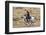 Cowboy Riding the Range-Terry Eggers-Framed Premium Photographic Print