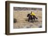 Cowboy Riding the Range-Terry Eggers-Framed Premium Photographic Print