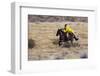Cowboy Riding the Range-Terry Eggers-Framed Premium Photographic Print