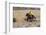 Cowboy Riding the Range-Terry Eggers-Framed Premium Photographic Print