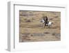 Cowboy Riding the Range-Terry Eggers-Framed Photographic Print