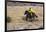 Cowboy Riding the Range-Terry Eggers-Framed Photographic Print