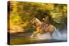 Cowboy Riding through River on a Horse-Terry Eggers-Stretched Canvas