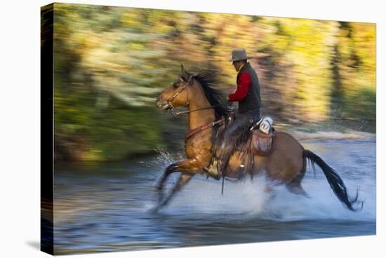 Cowboy Riding through River on a Horse-Terry Eggers-Stretched Canvas