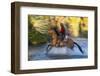 Cowboy Riding through River on a Horse-Terry Eggers-Framed Premium Photographic Print