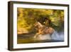 Cowboy Riding through River on a Horse-Terry Eggers-Framed Photographic Print