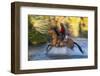 Cowboy Riding through River on a Horse-Terry Eggers-Framed Photographic Print