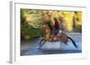 Cowboy Riding through River on a Horse-Terry Eggers-Framed Photographic Print