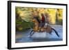 Cowboy Riding through River on a Horse-Terry Eggers-Framed Photographic Print