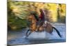 Cowboy Riding through River on a Horse-Terry Eggers-Mounted Photographic Print