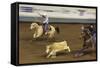 Cowboy Rodeo Competition, Oklahoma City, Oklahoma, USA-Walter Bibikow-Framed Stretched Canvas