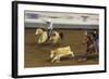Cowboy Rodeo Competition, Oklahoma City, Oklahoma, USA-Walter Bibikow-Framed Photographic Print