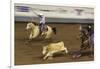 Cowboy Rodeo Competition, Oklahoma City, Oklahoma, USA-Walter Bibikow-Framed Photographic Print