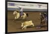 Cowboy Rodeo Competition, Oklahoma City, Oklahoma, USA-Walter Bibikow-Framed Photographic Print