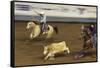 Cowboy Rodeo Competition, Oklahoma City, Oklahoma, USA-Walter Bibikow-Framed Stretched Canvas