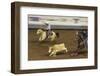 Cowboy Rodeo Competition, Oklahoma City, Oklahoma, USA-Walter Bibikow-Framed Photographic Print