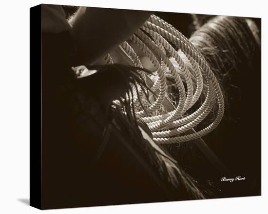 Cowboy Rope-Barry Hart-Stretched Canvas