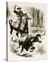 Cowboy Ropes a Steer from Horseback with a Lasso-Henry Charles Fox-Stretched Canvas