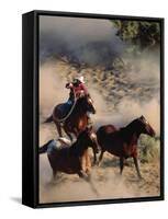 Cowboy Roping Horses-John Luke-Framed Stretched Canvas